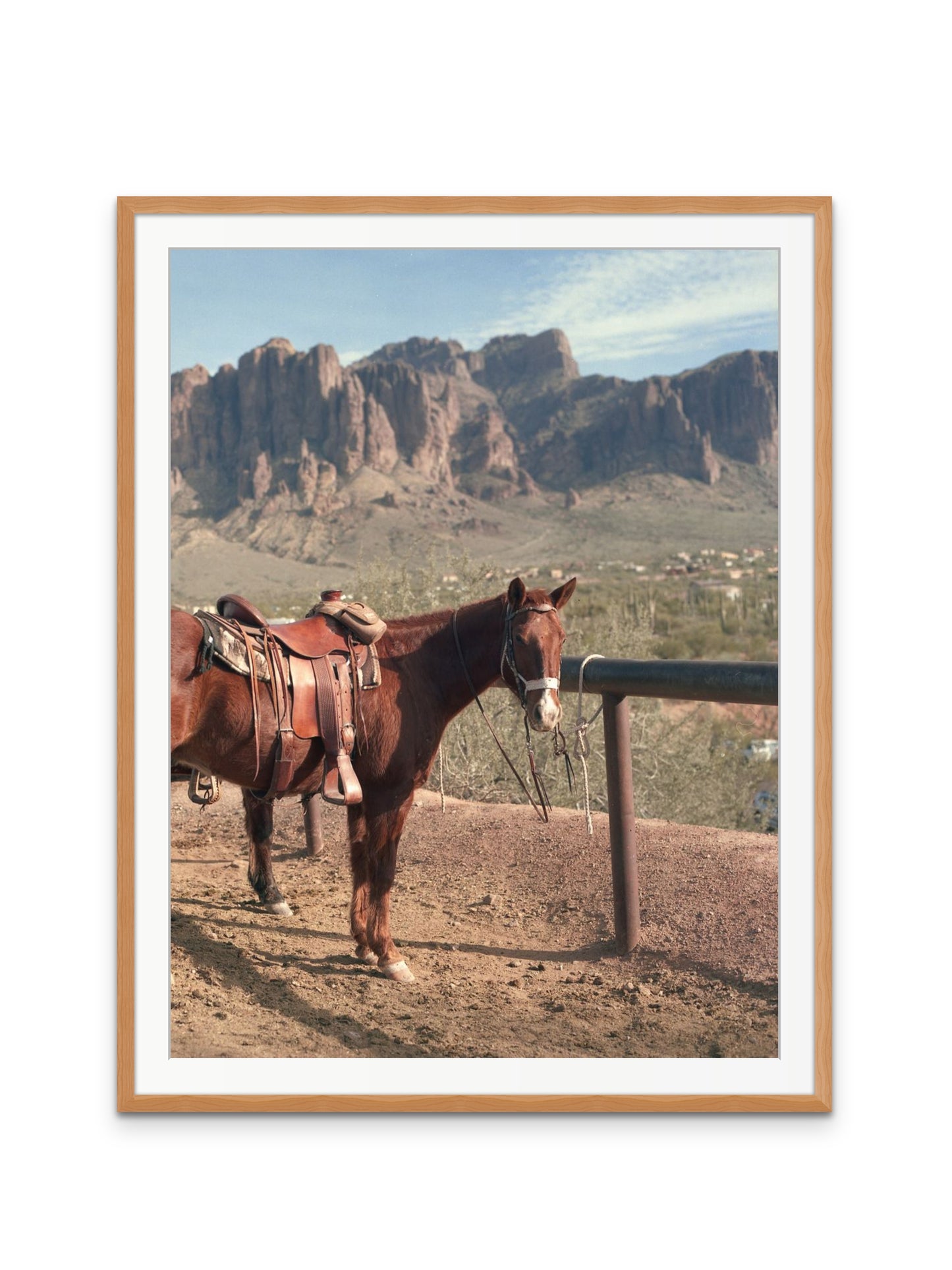 By the Verde River