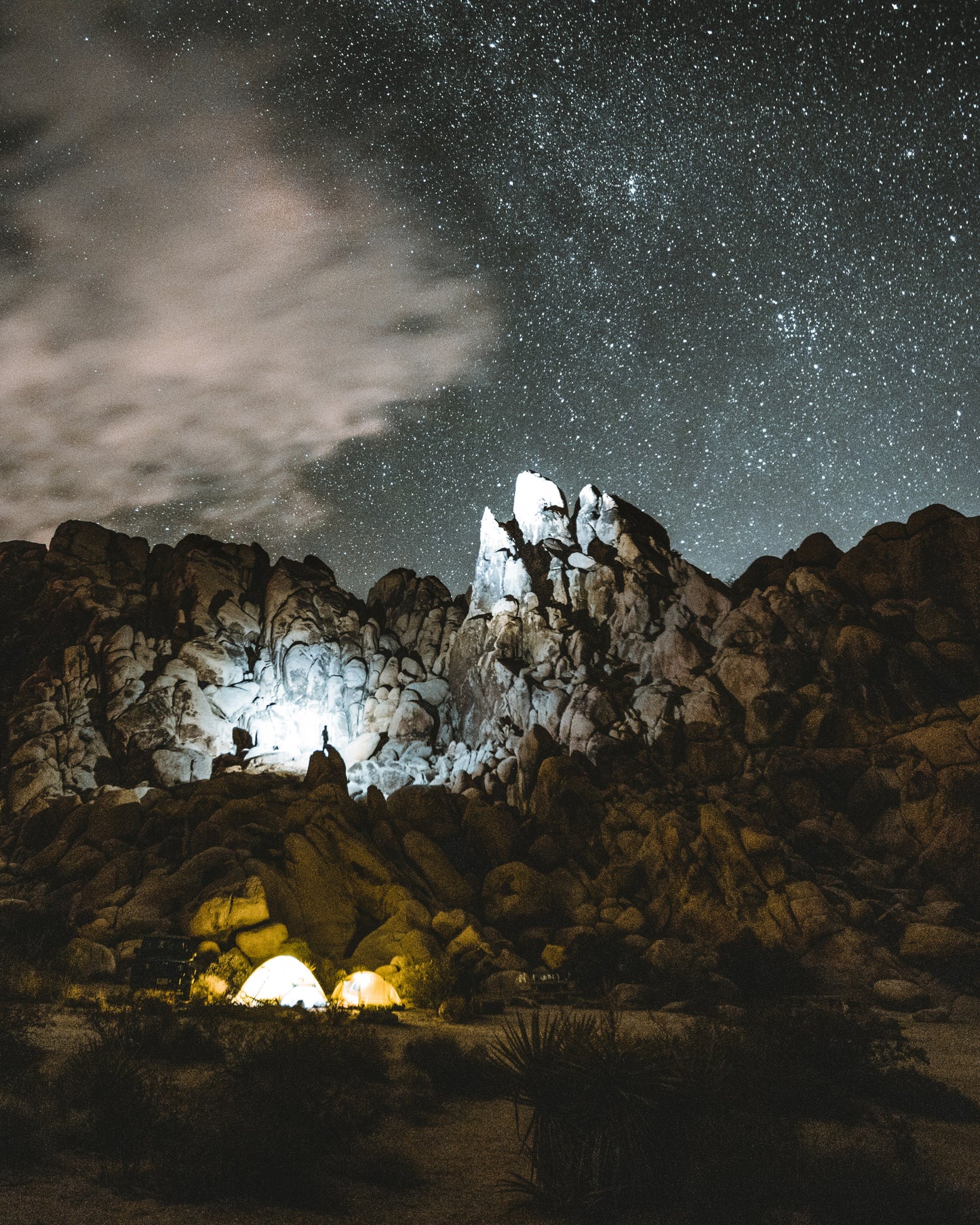 Joshua Tree at Night