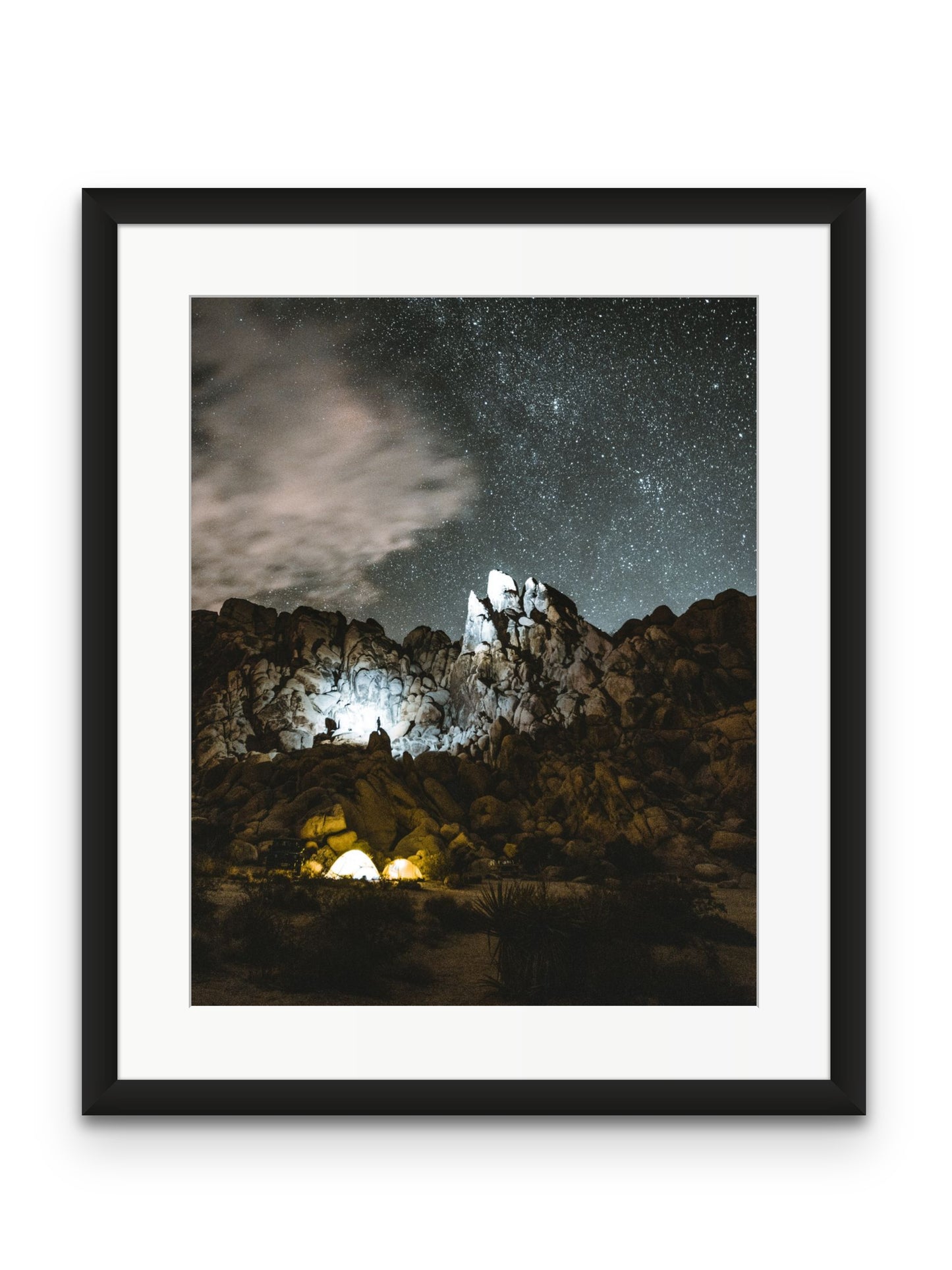 Joshua Tree at Night