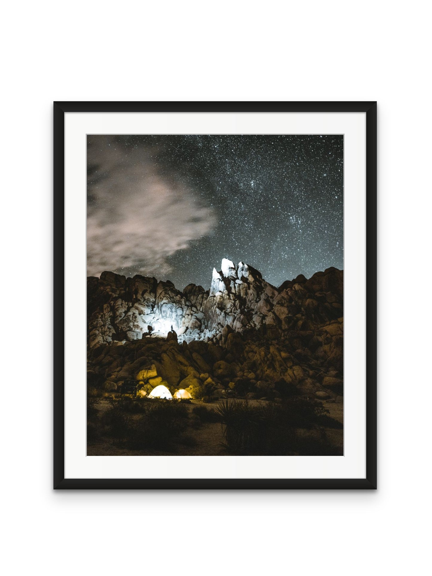 Joshua Tree at Night