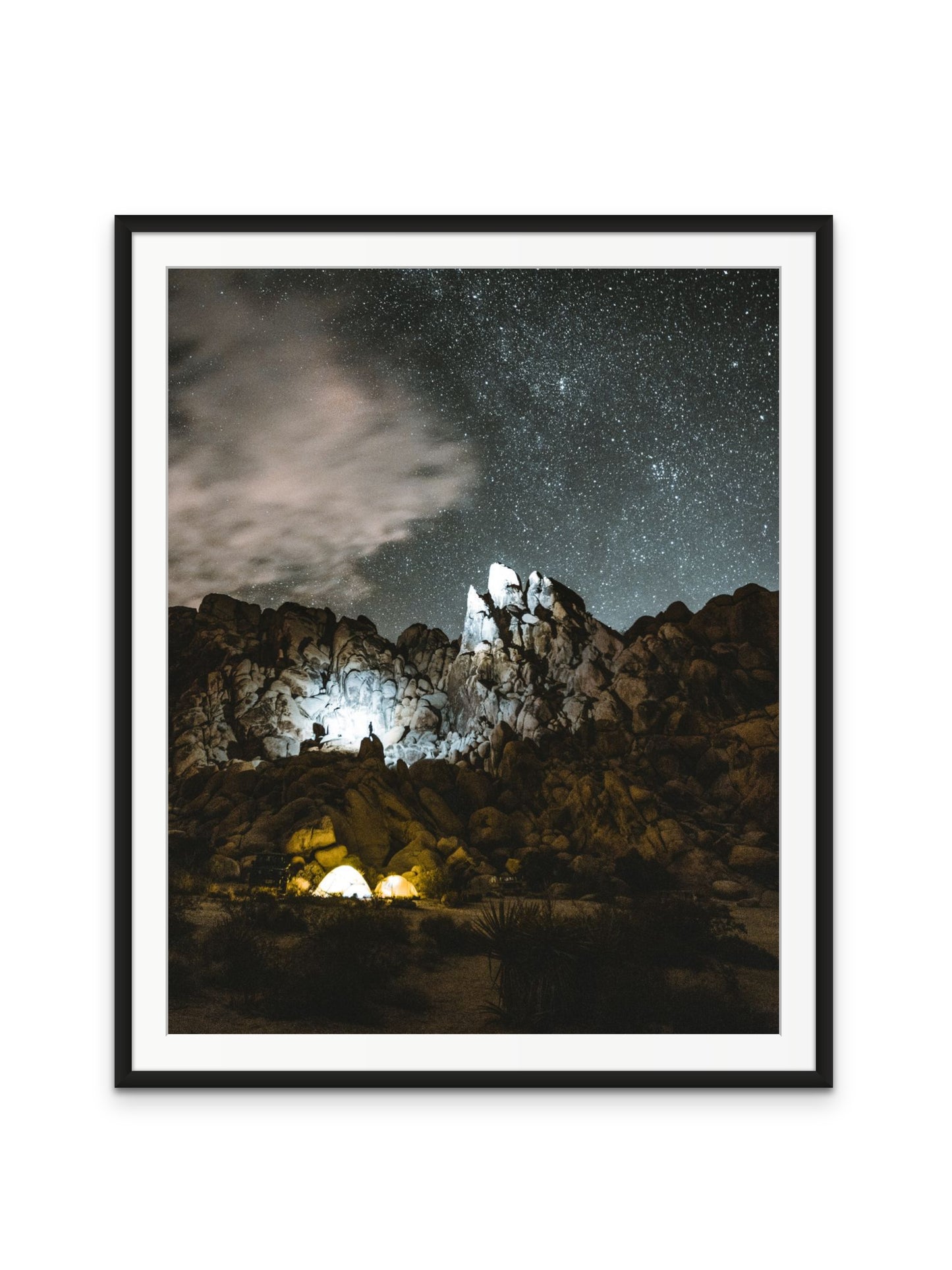 Joshua Tree at Night