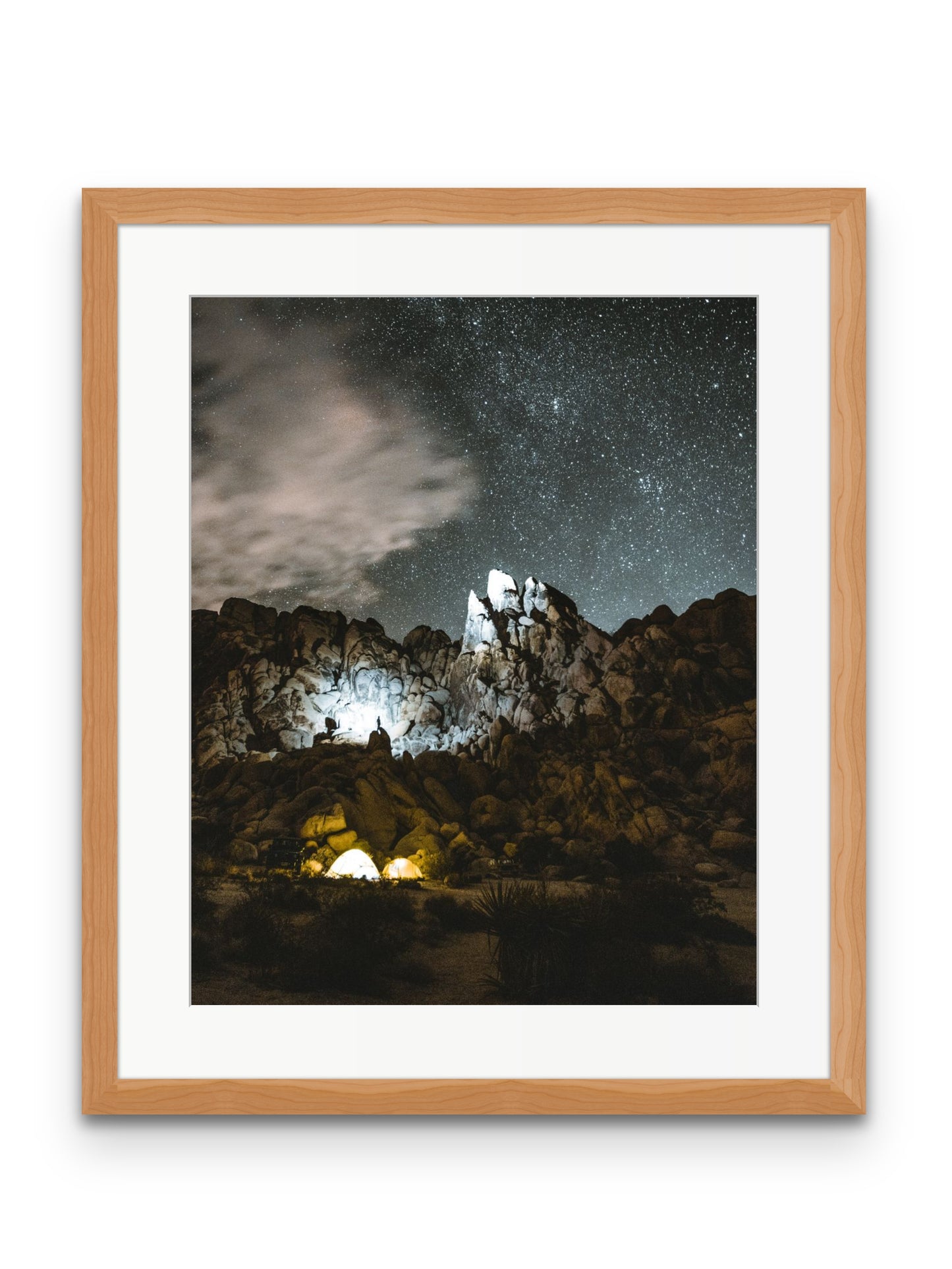 Joshua Tree at Night