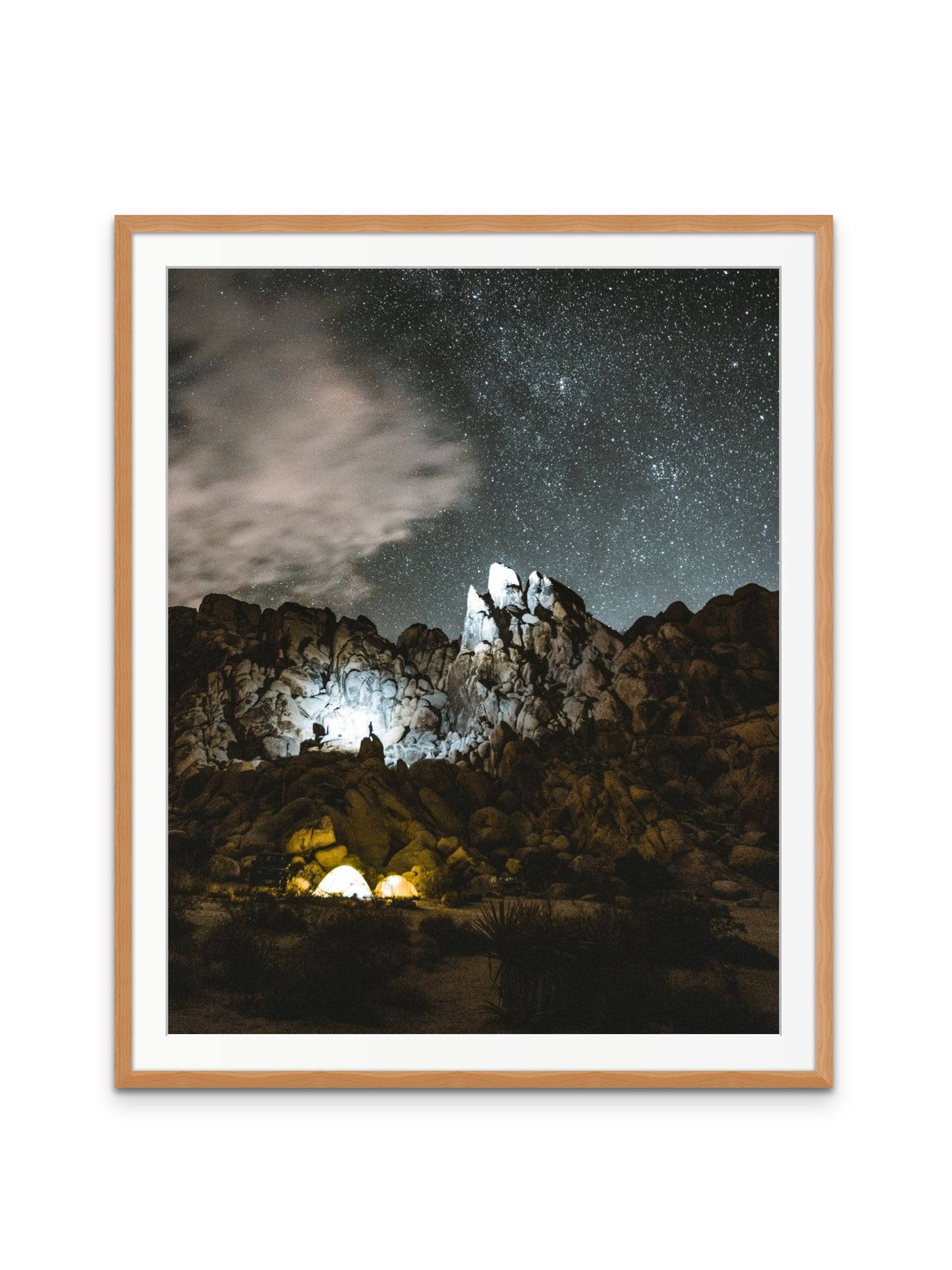 Joshua Tree at Night