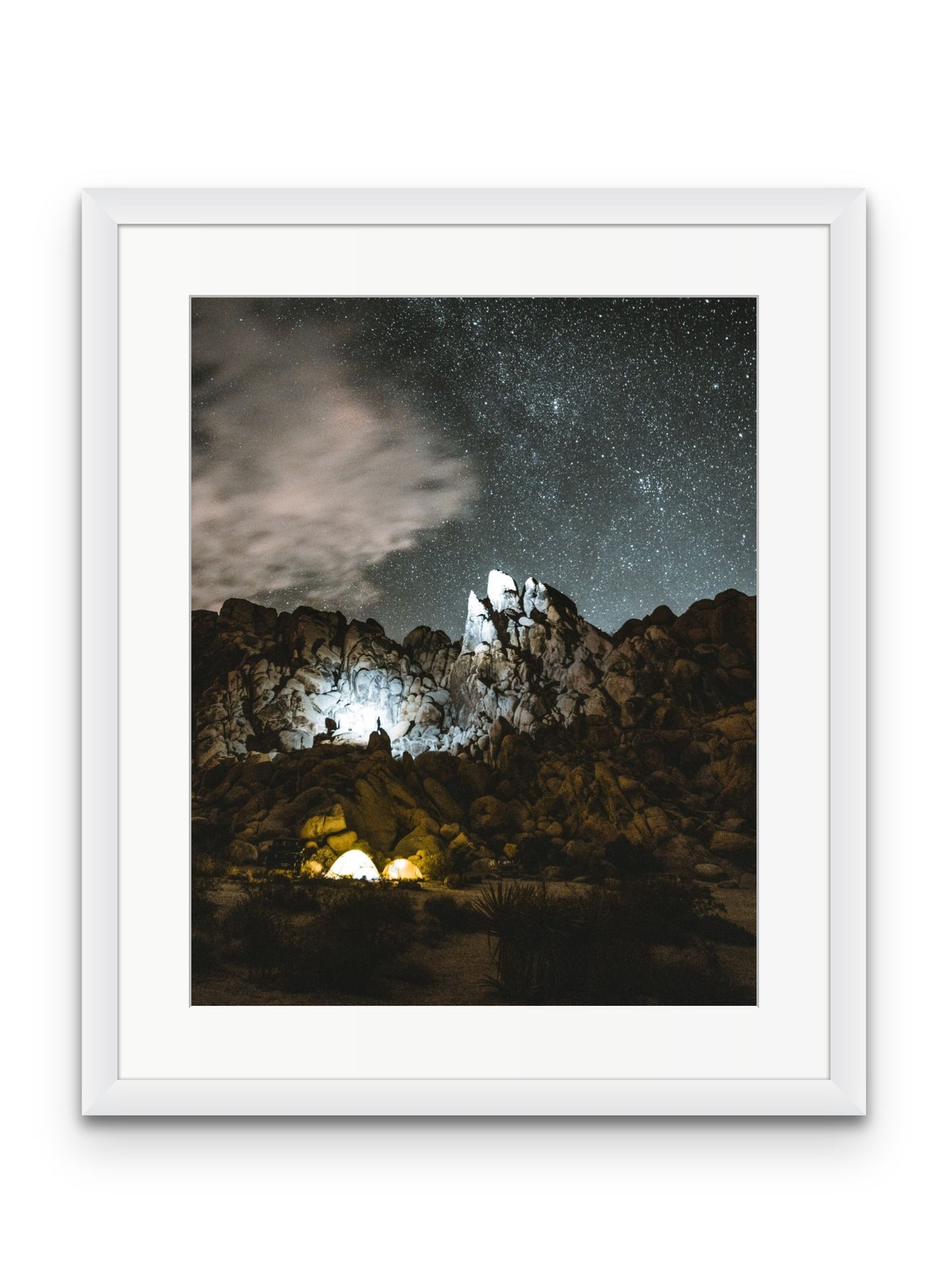 Joshua Tree at Night