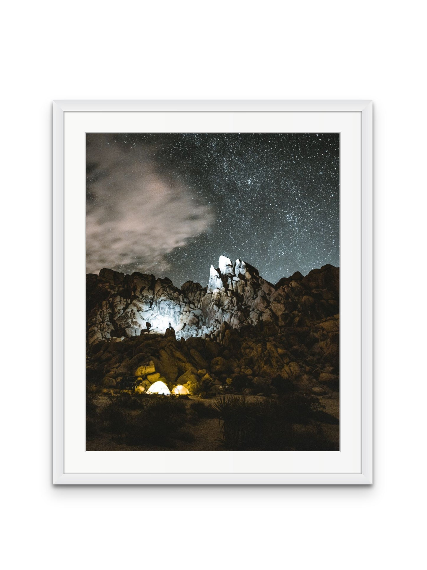 Joshua Tree at Night