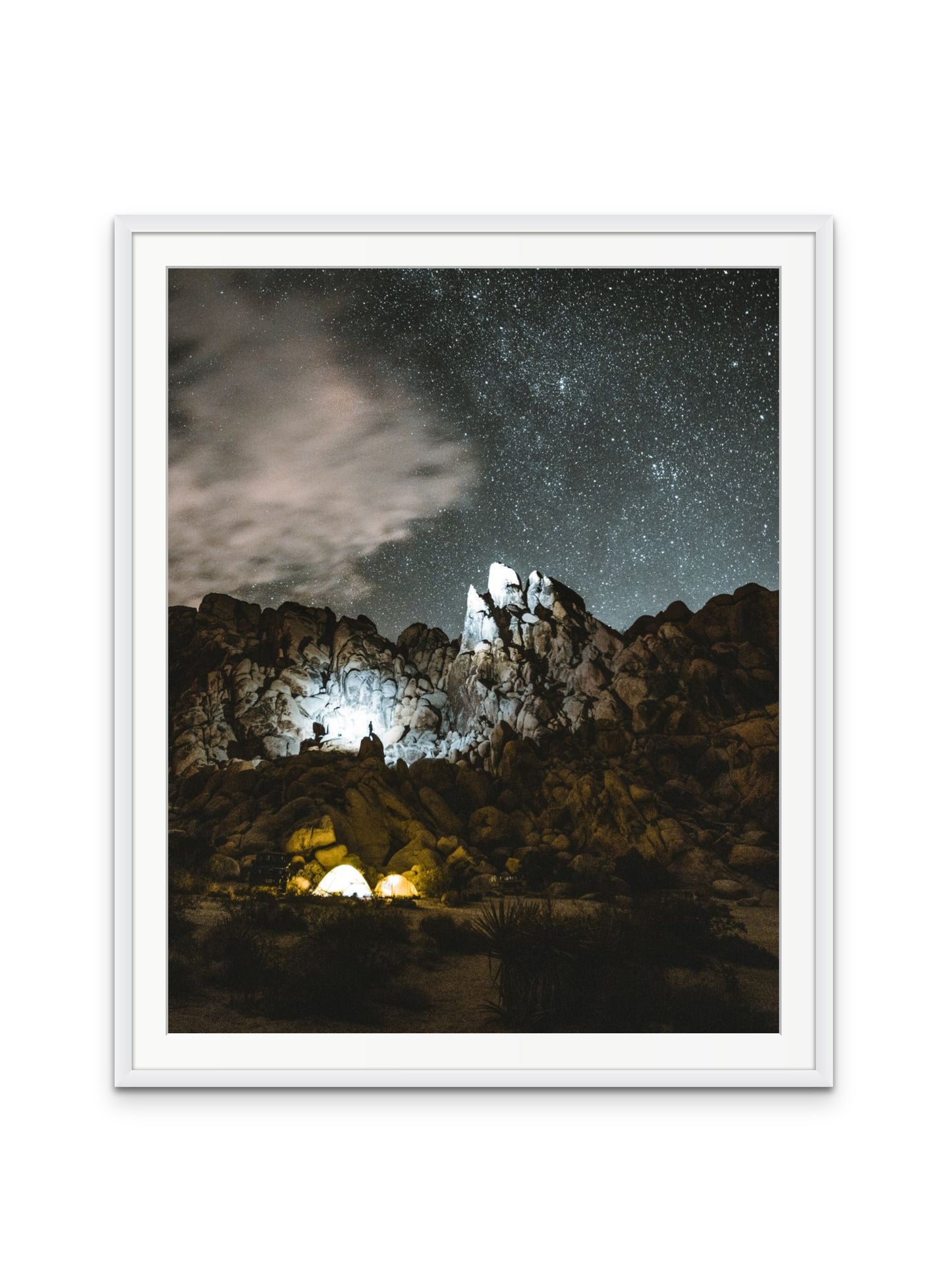 Joshua Tree at Night